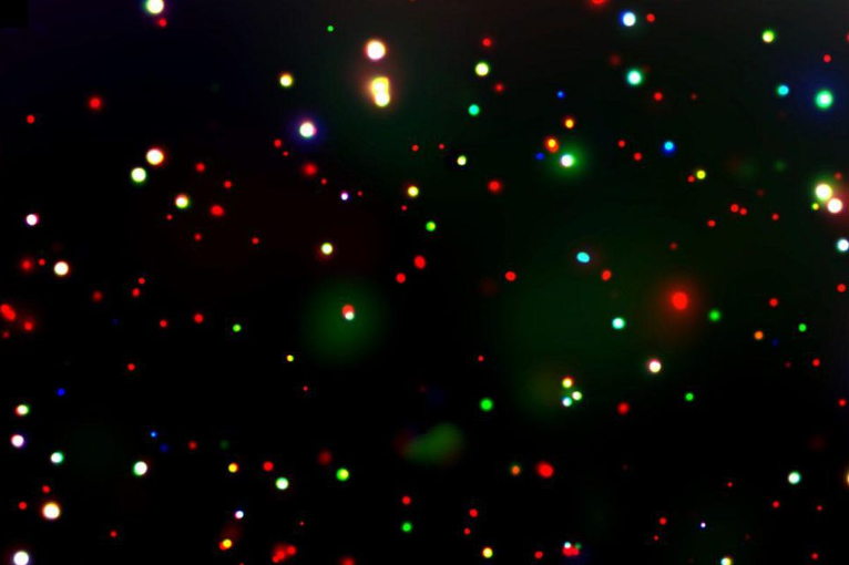 stars