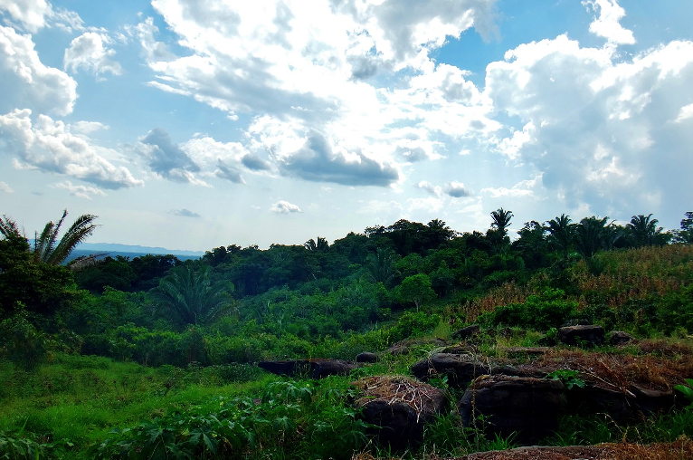 agroecology