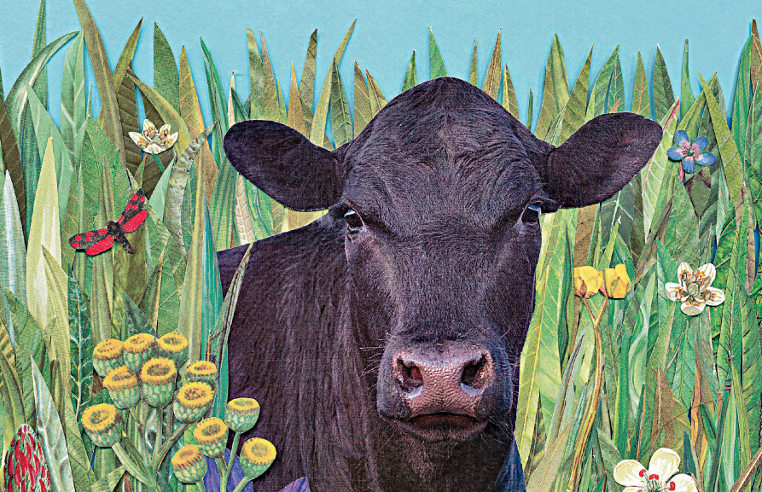Defending Beef
