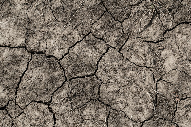 dried-out soil