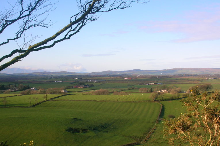 ridge and furrow