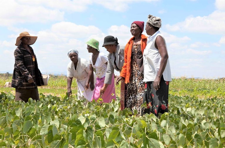 Feminism and climate change