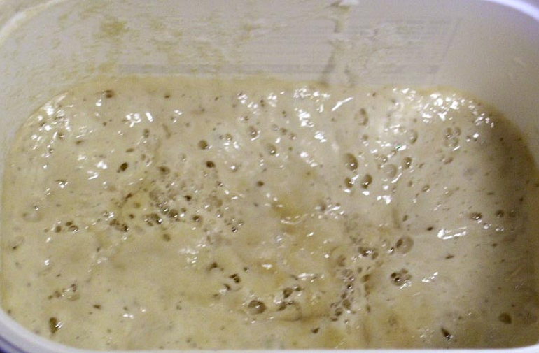 sourdough