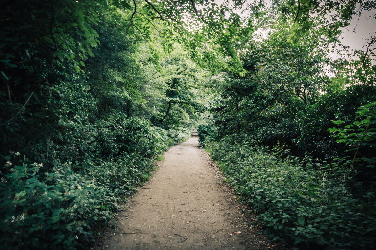 path