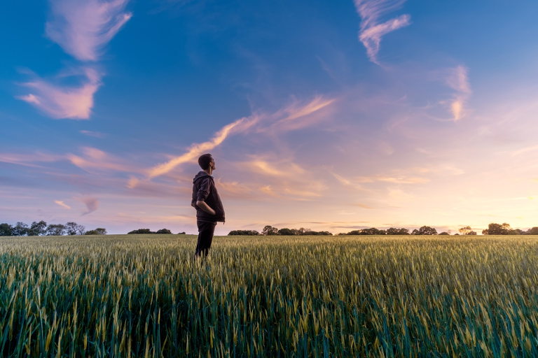 regenerative agriculture