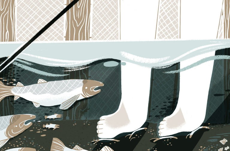 fish trap