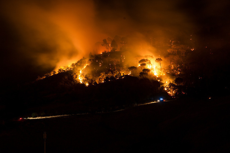 wildfire