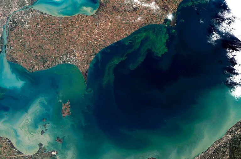 algal blooms