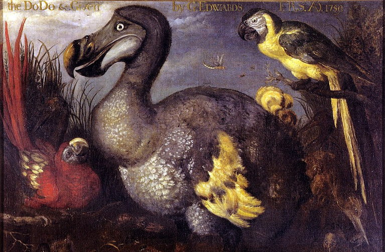 extinct DODO