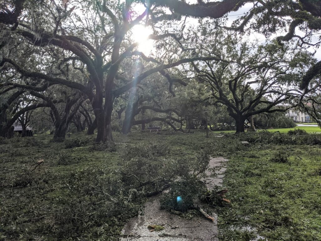 City Park in New Orleans