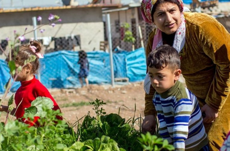 refugee camp