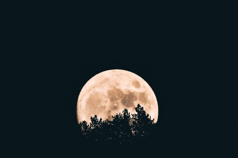 autumn moon