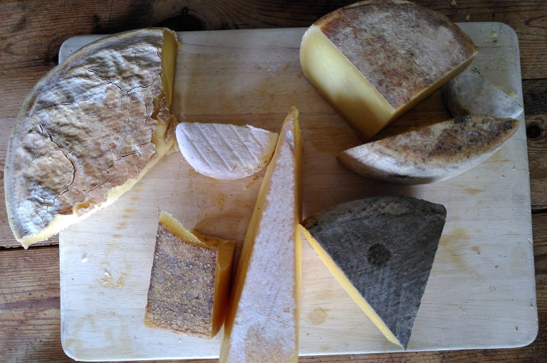 cheese