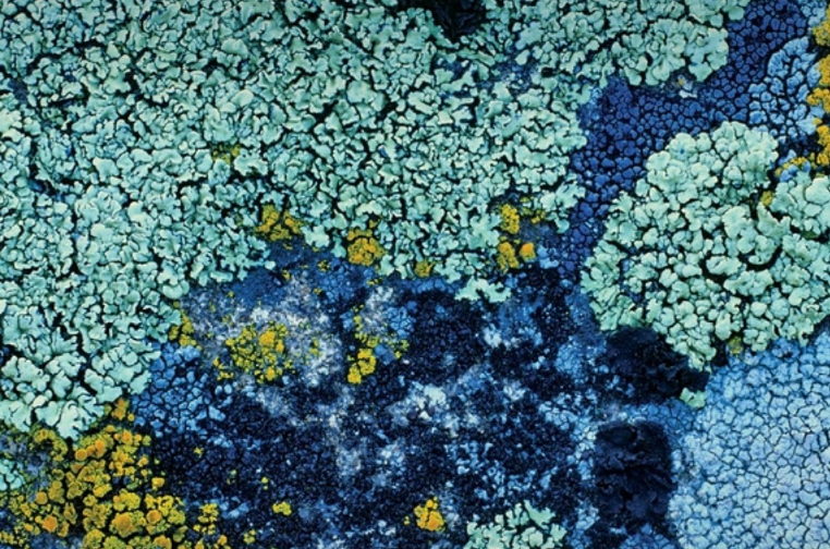 bookcover