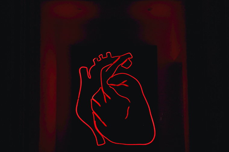 heart