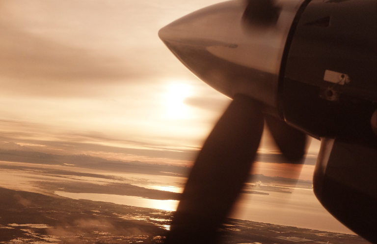 flight
