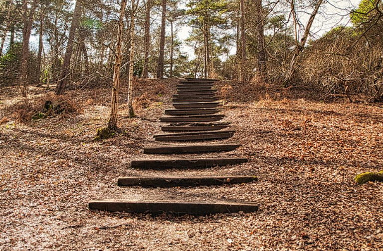 steps
