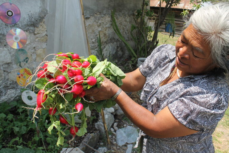 community feminism
