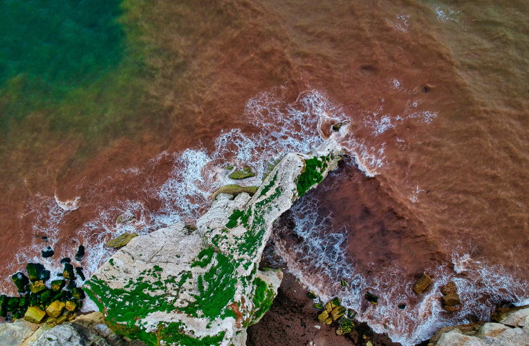 wild water