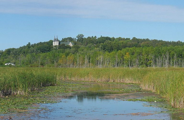 Wye Marsh