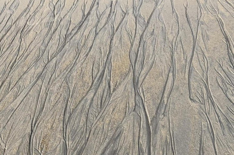 fractals
