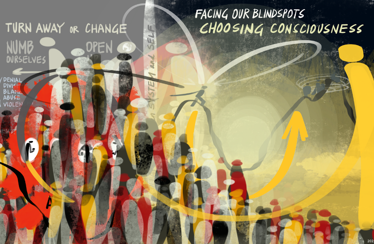 social field