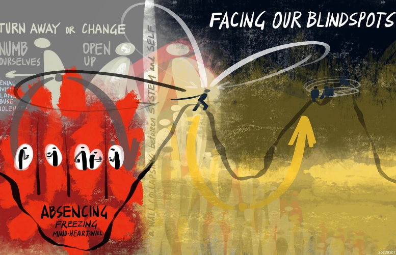 social fields