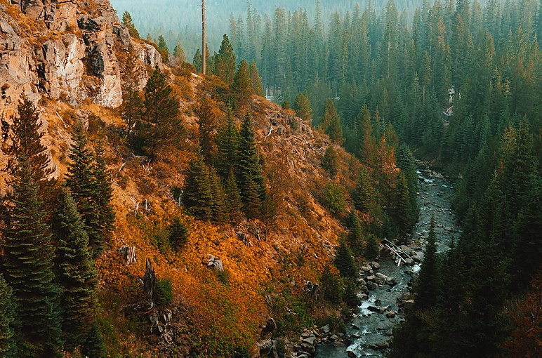 Tumalo Creek