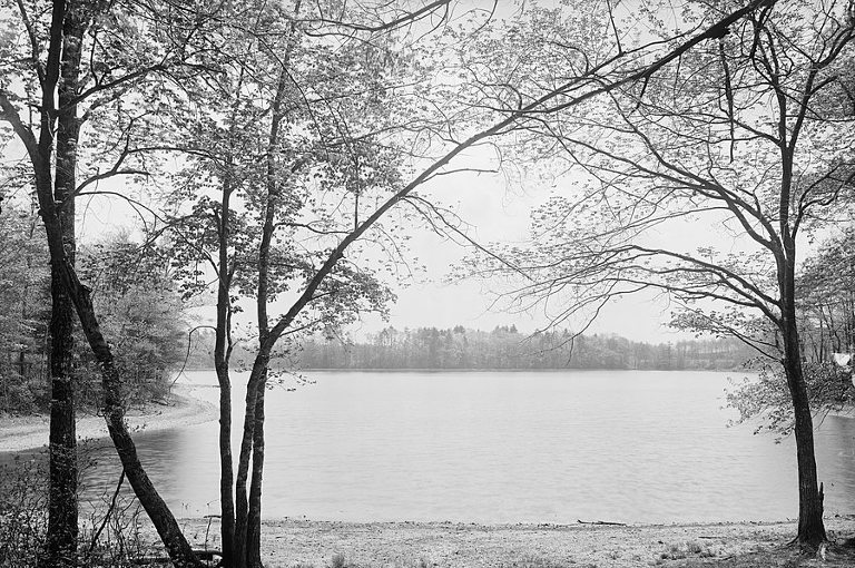 Walden Pond