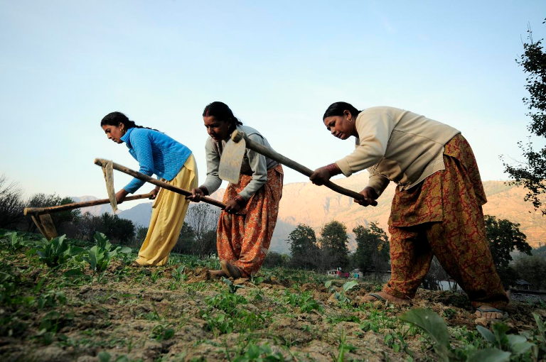 Women farmers in India