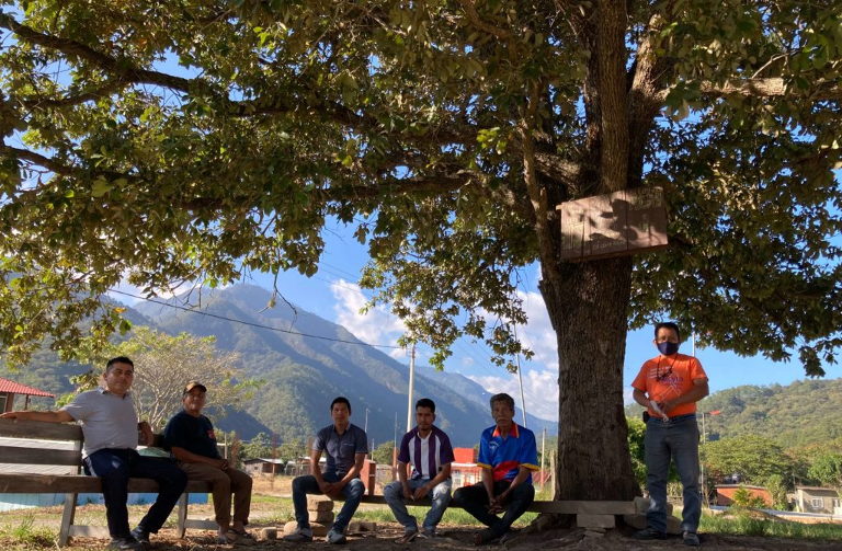 Chimalapas forest