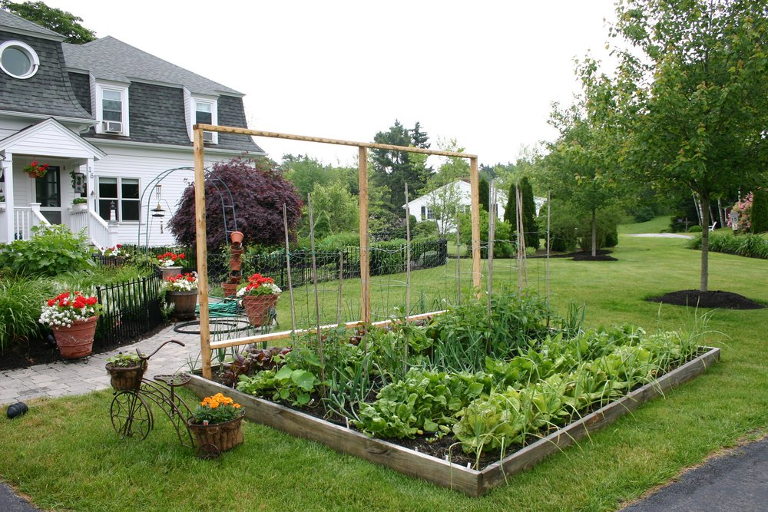 front yard garden