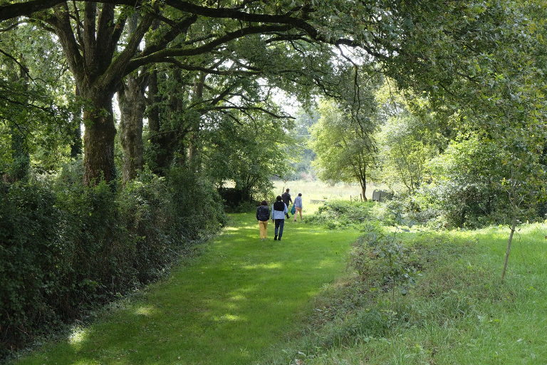 Stephane's farm