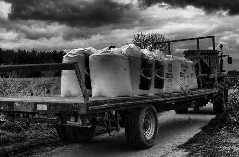 nitrogen fertilizer