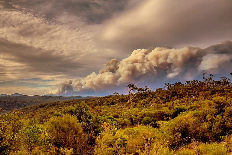 Gosper mountain fire