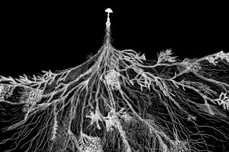 Mycelial thread