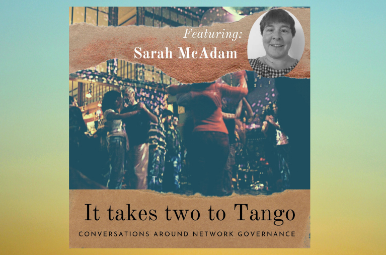 Transition governance