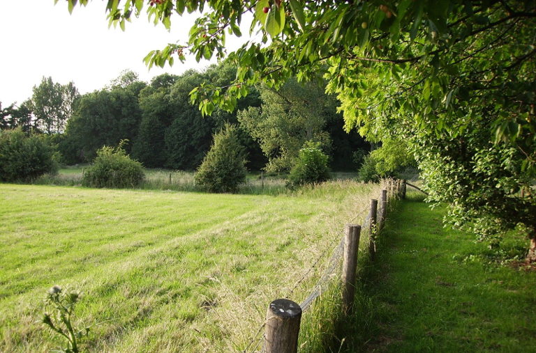 farm garden