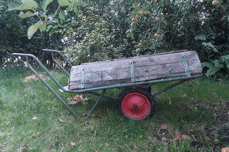 horticulture