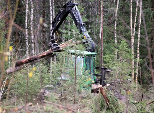 forest harvester