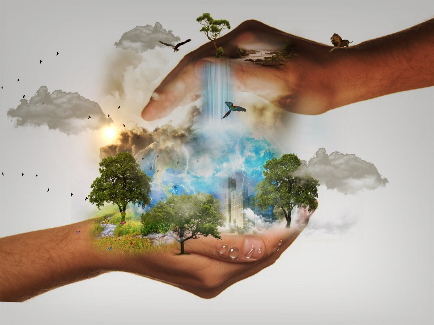wellbeing economy