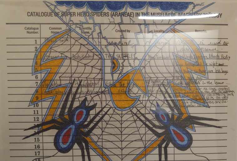 spider
