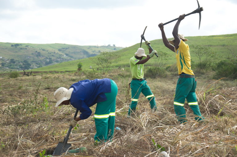 ecosystem restoration