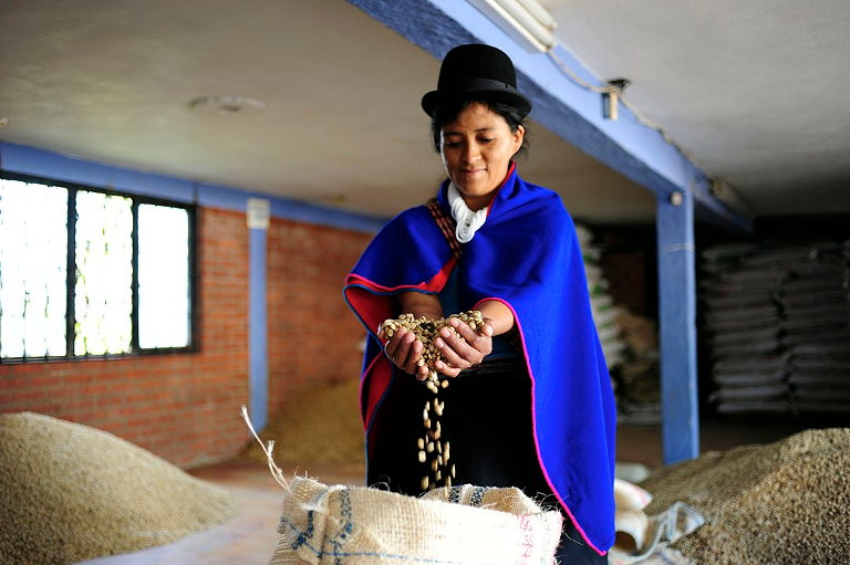 coffee cooperative