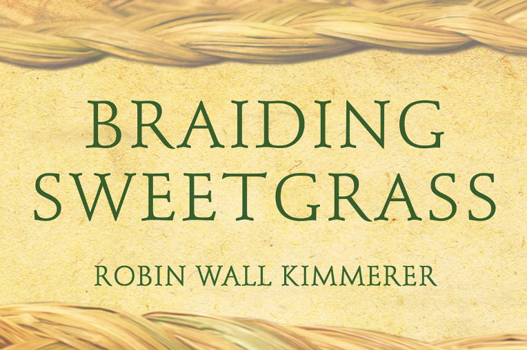 Braiding Sweetgrass cover