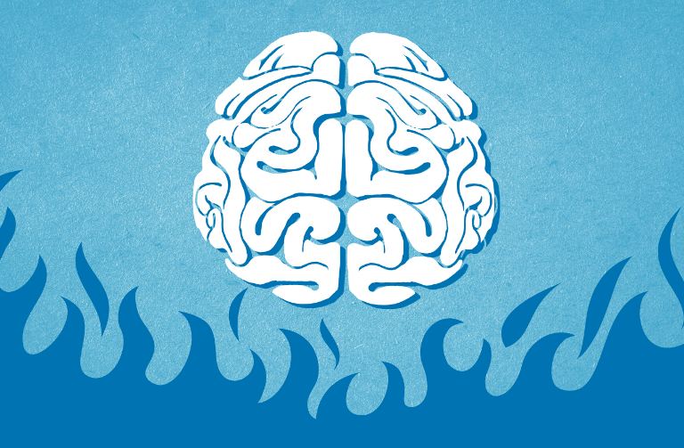 brain