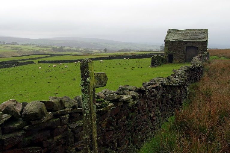 English farm