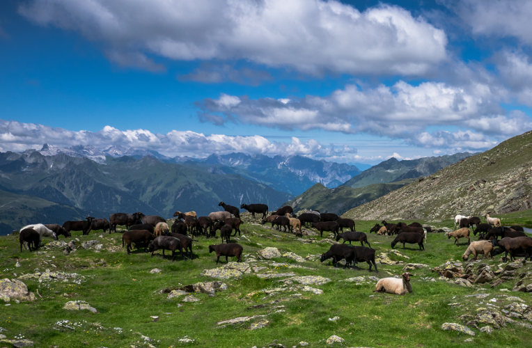 Austria