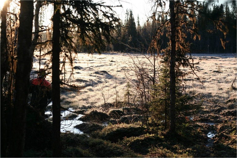 Moose hunting