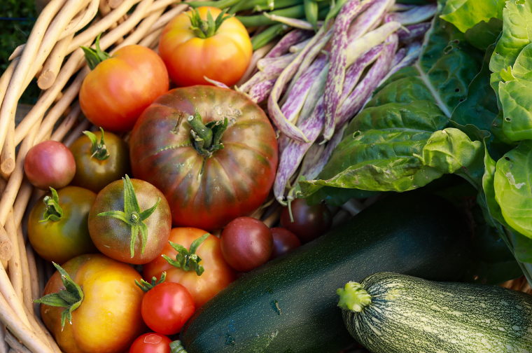 harvest